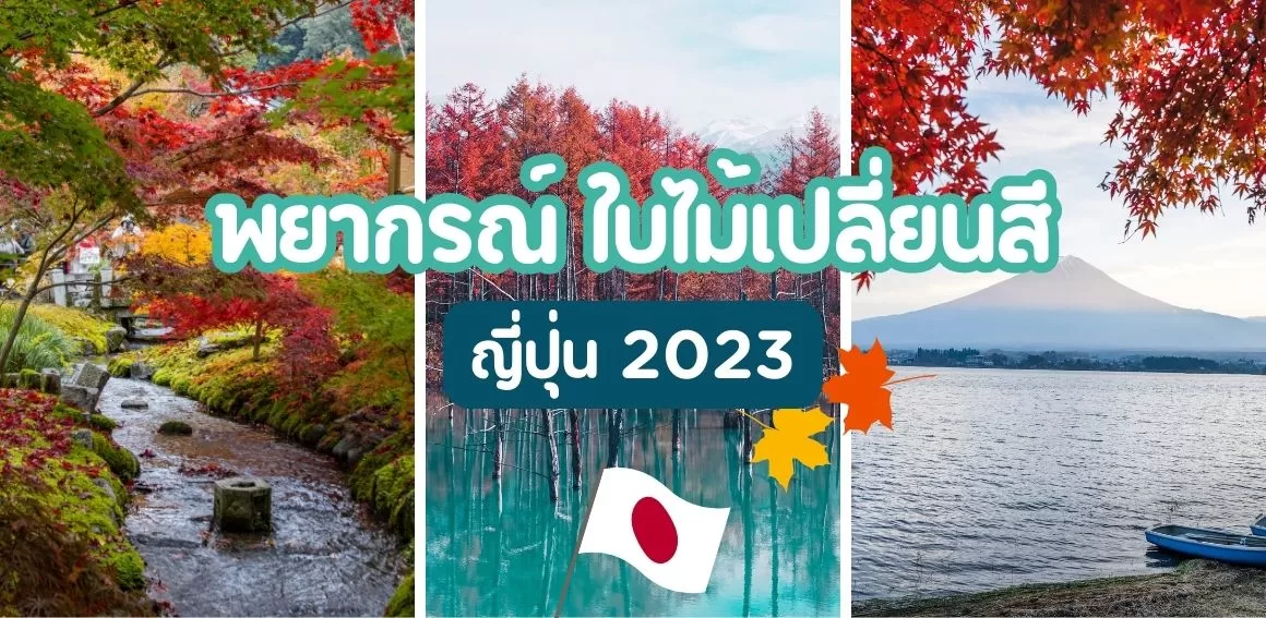 ใบไม้เปลี่ยนสี ญี่ปุ่น 2023 ดูที่ไหน เดือนไหนดี