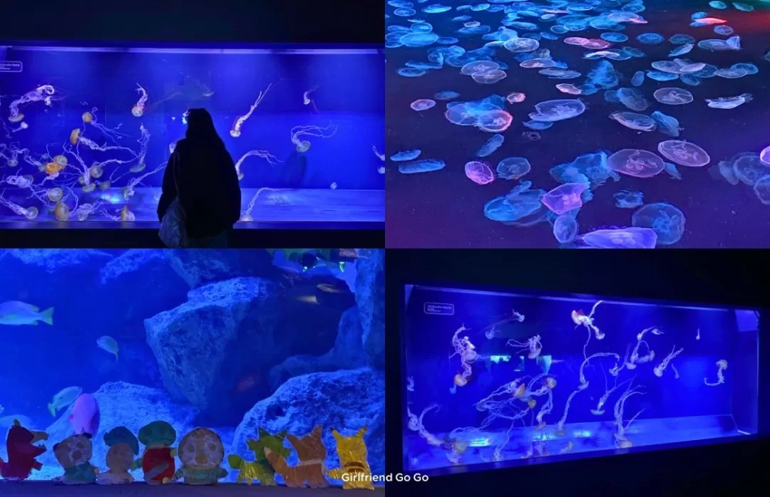 เที่ยวโตเกียว 2024 sumida aquarium